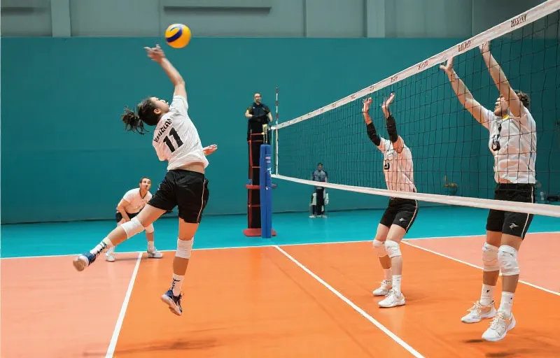 韩国男排 直播中